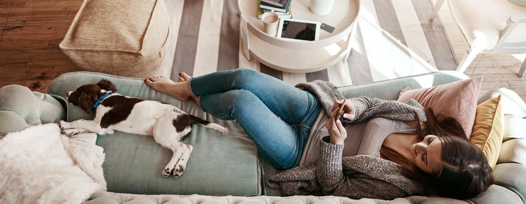 overhead view of  a woman texting as she lies on a couch with a dog at her feet