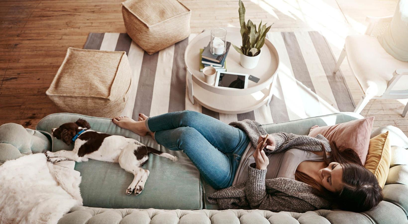 We welcome all your furry friends overhead view of  a woman texting as she lies on a couch with a dog at her feet